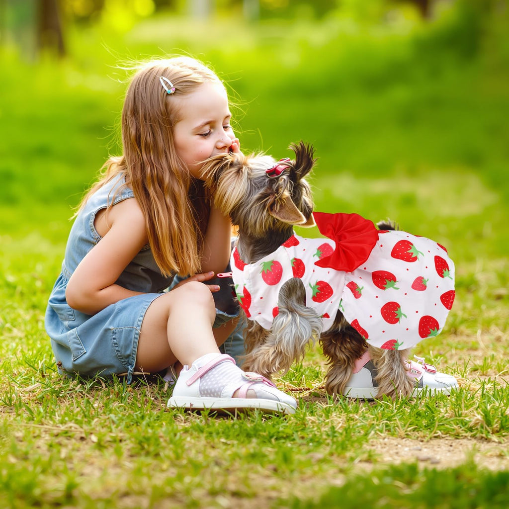 5 Pack Girl Dog Clothes Floral Summer Puppy Princess Bowknot Dog Dresses for Small Dogs Girl Clothes Cute Outfits for Boys Girls Pets Cats Dogs (X-Small, Floral Summer)